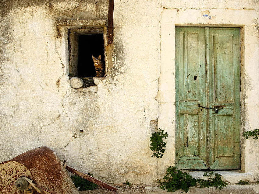 Shady Al Grager an den Türen. Fenster. Stufen. Balkone. Katzenfenster, grüne Tür, altes Haus, Türöffnung HD-Hintergrundbild