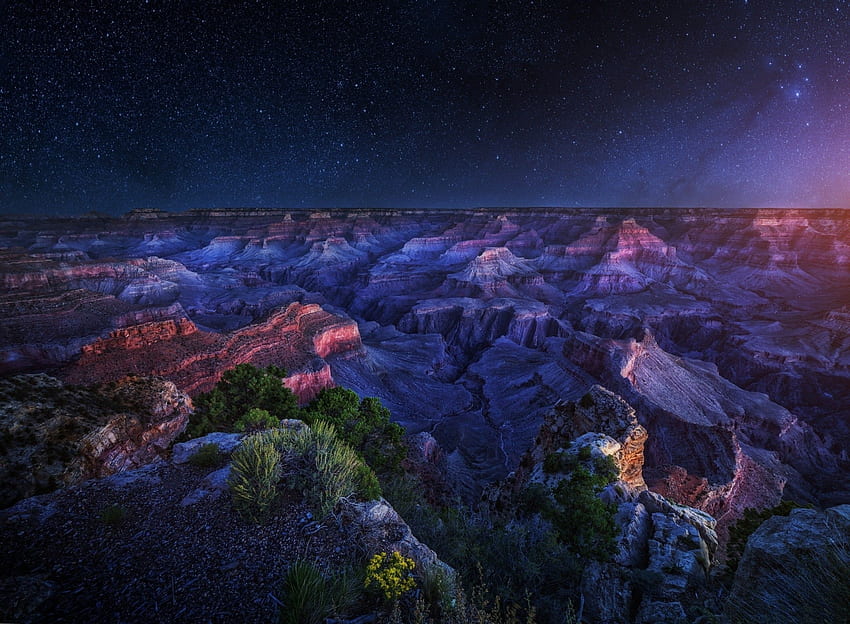Arizona, Grand Canyon, Starry Night, Long Exposure, Shrubs, Erosion, Panoramas, Nature, Landscape / and Mobile Background HD wallpaper
