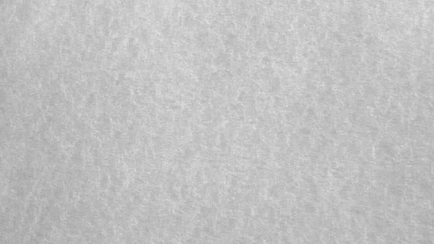 Grey background, 2560X1440 Light Grey HD wallpaper | Pxfuel