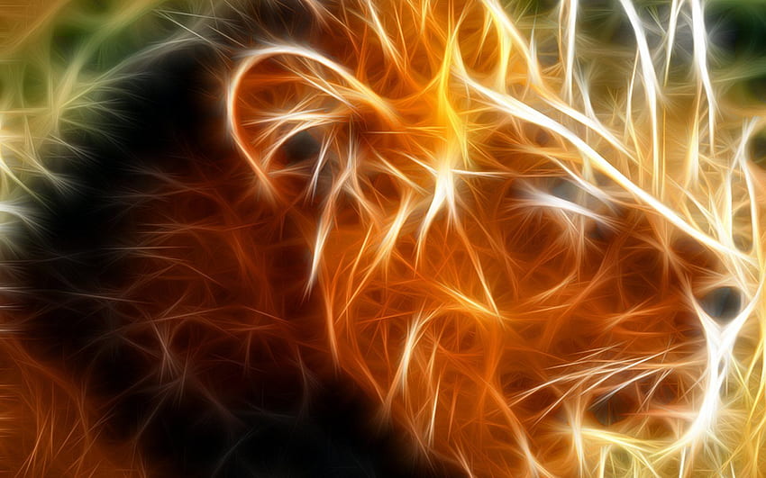 fractal, animal, graphics, predator, lion, muzzle for with resolution . High Quality HD wallpaper