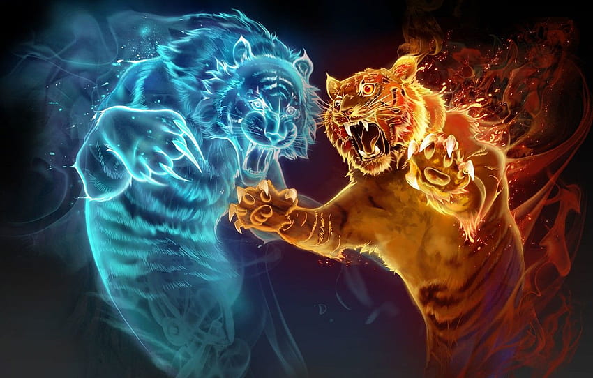 Water And Fire, Flaming Tiger HD wallpaper