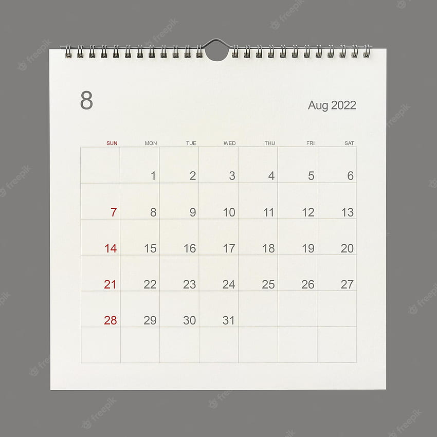 Premium . August 2022 Calendar Page On White Background. Calendar Background  For Reminder, Business Planning, Appointment Meeting And Event. Close Up HD  phone wallpaper | Pxfuel