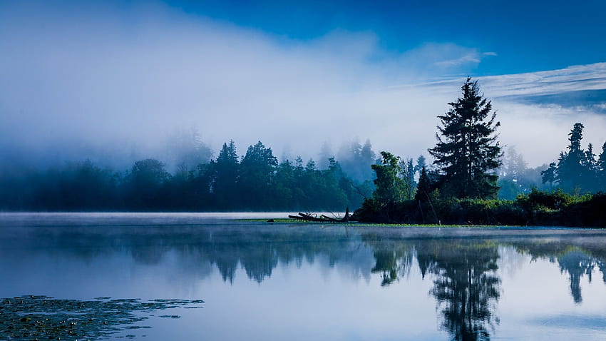 Mount Rainier National Park Wallpaper 4K Washington State 4477