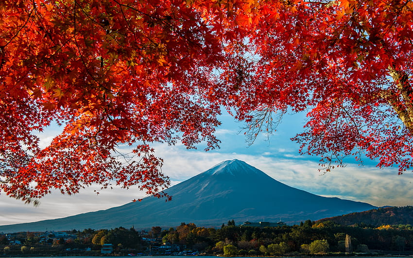 Mount Fuji, , Japanese maple, Fujiyama, evening, sunset, mountain landscape, stratovolcano, Honshu, Japan HD wallpaper