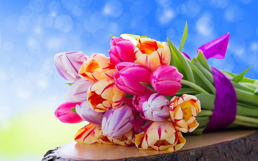 Ramo de Tulipanes de Colores, Rosas de Colores fondo de pantalla