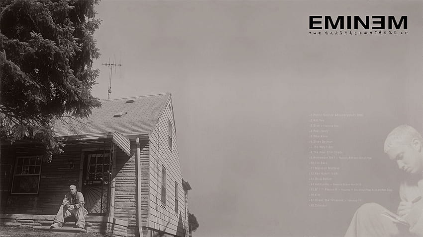 The Marshall Mathers LP: 20 años después., Eminem MMLP 2 fondo de pantalla