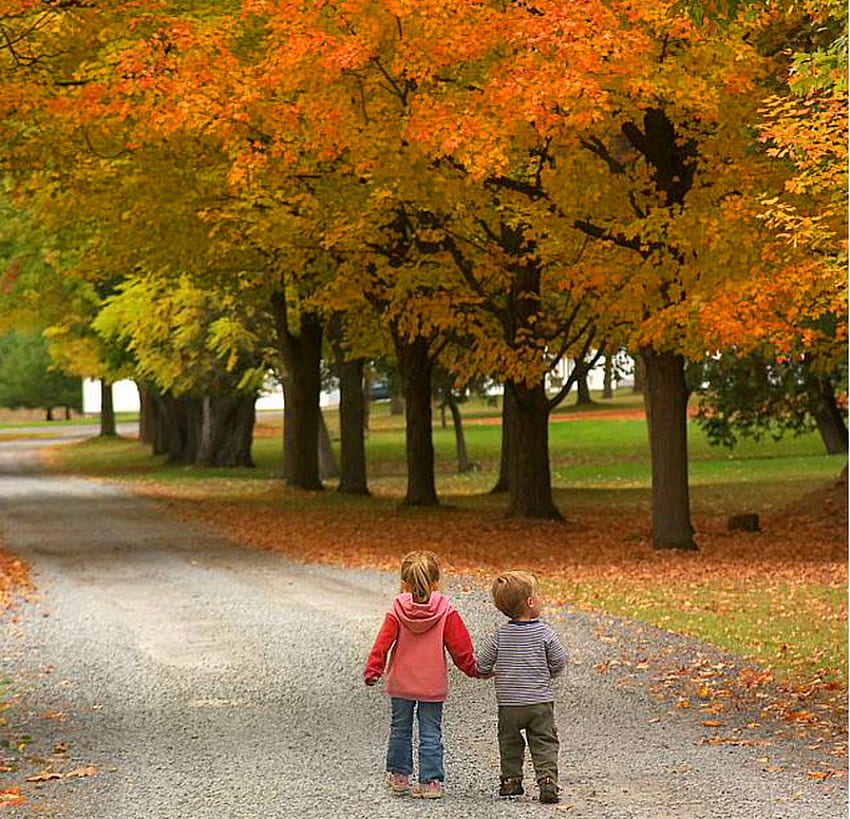 Passeggiata, ragazzo, bambini, alberi, autunno, colori cangianti, ragazza, amici, cammina Sfondo HD