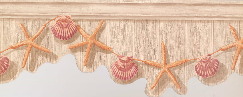 seashell , starfish, echinoderm, pink, marine invertebrates, shell, invertebrate HD wallpaper