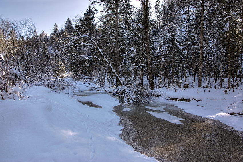 Landscape, Winter, Nature, Rivers, Snow, Forest HD wallpaper