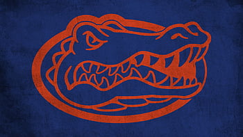 WallpaperWednesday   Florida Gators Football  Facebook