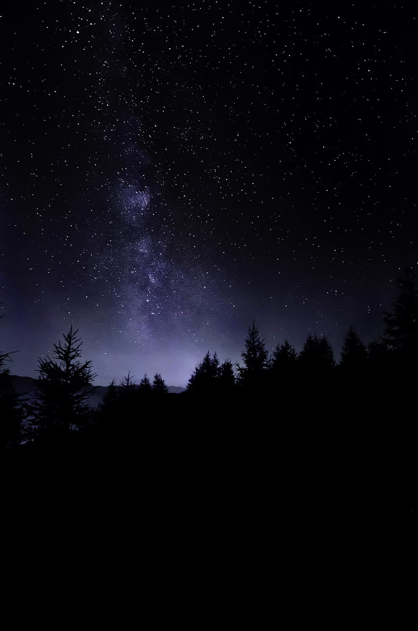 noc, niebo, przyroda, czerń, ciemność, zjawisko atmosferyczne, Nyctophile Tapeta na telefon HD