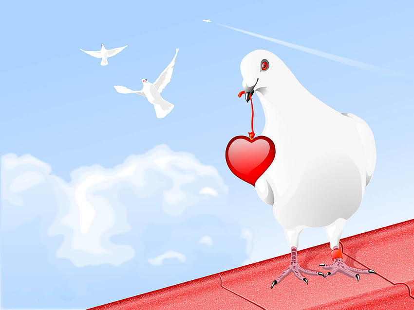 Birds, Sky, Hearts, Pigeons HD wallpaper