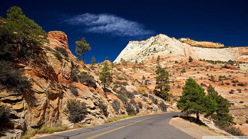 Desert Road ❤ for Ultra TV • Wide HD wallpaper