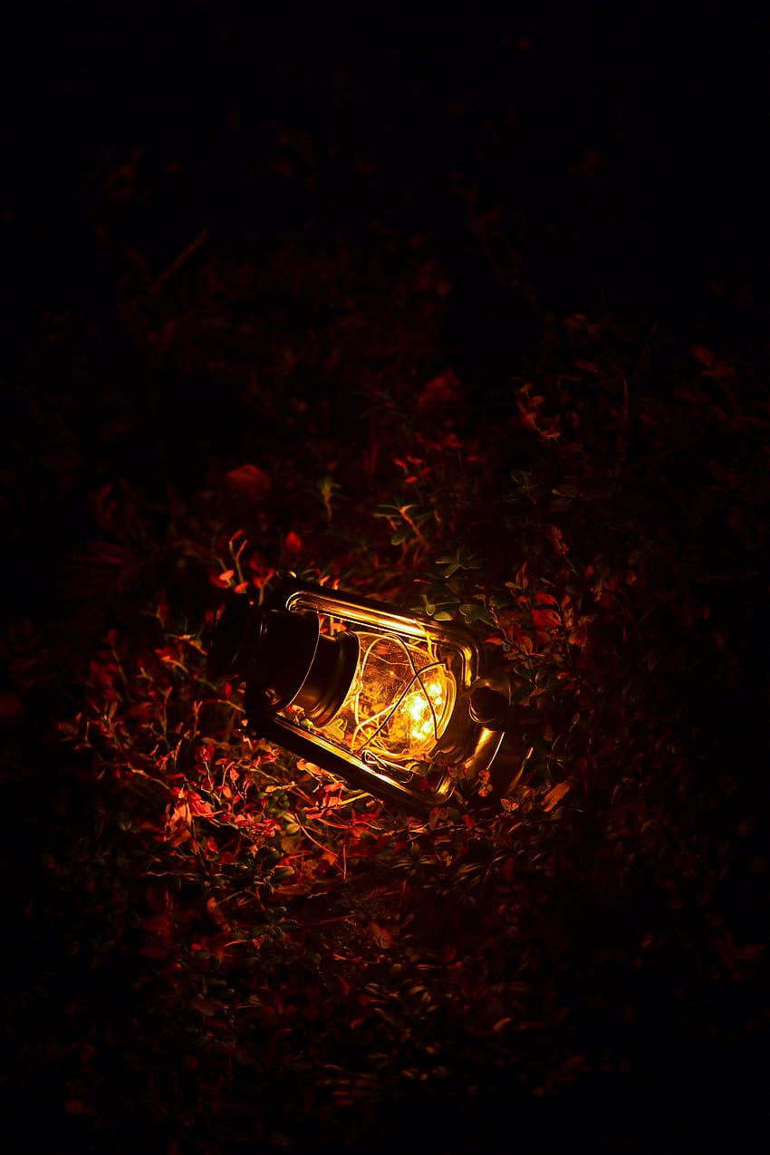 Leaves, Dark, Lamp, Lantern, Glow HD phone wallpaper