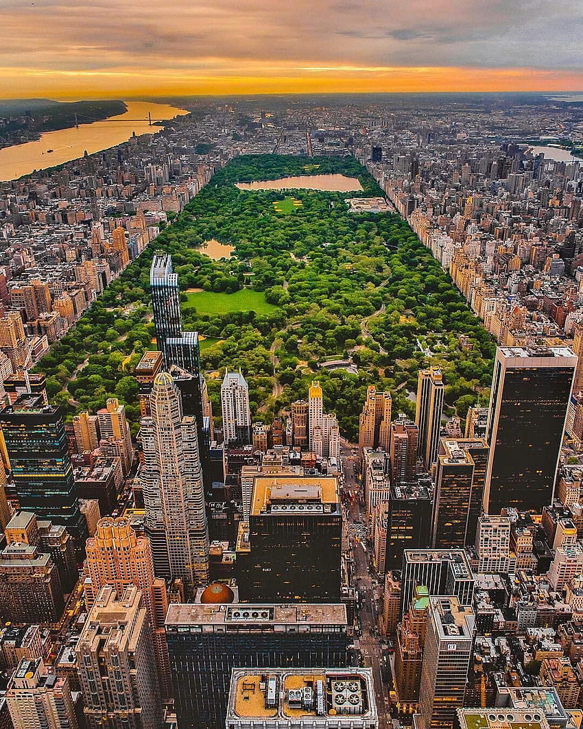 로프트만 있으면 됩니다. Central Park nyc, 뉴욕의 장소, 뉴욕 여행, 센트럴 파크 여름 HD 전화 배경 화면
