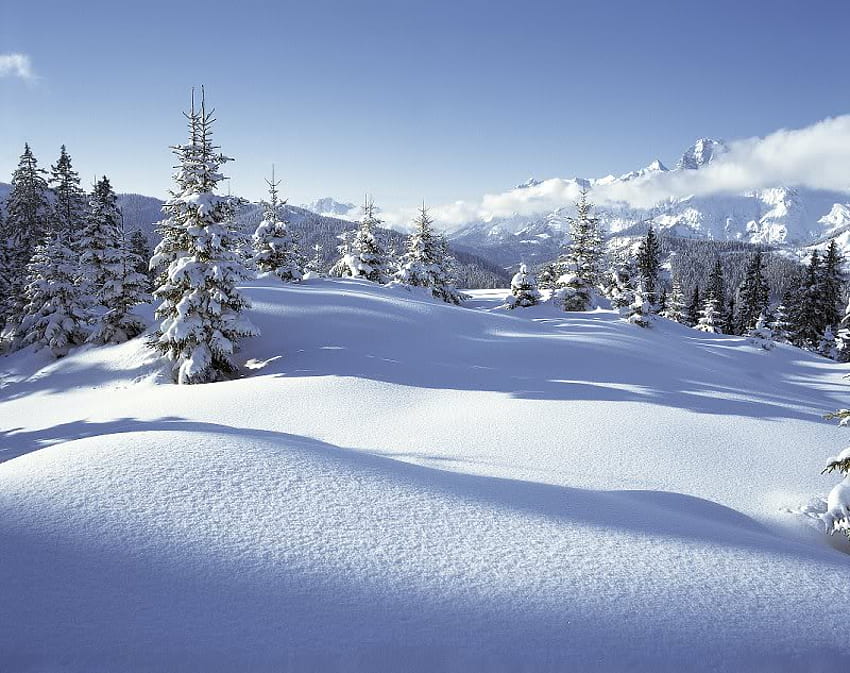 Skiamade, Austria, zima, drzewa, niebo, śnieg Tapeta HD