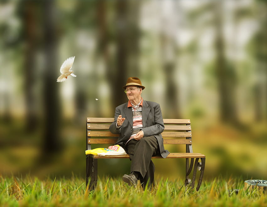 Glück hat keine Altersgrenze!, alt, Mann, glücklich, Gras, Taube, , Essen, Park HD-Hintergrundbild
