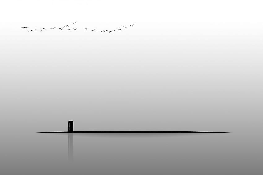 Budka telefoniczna minimalistyczne ptaki cień wektor Tapeta HD