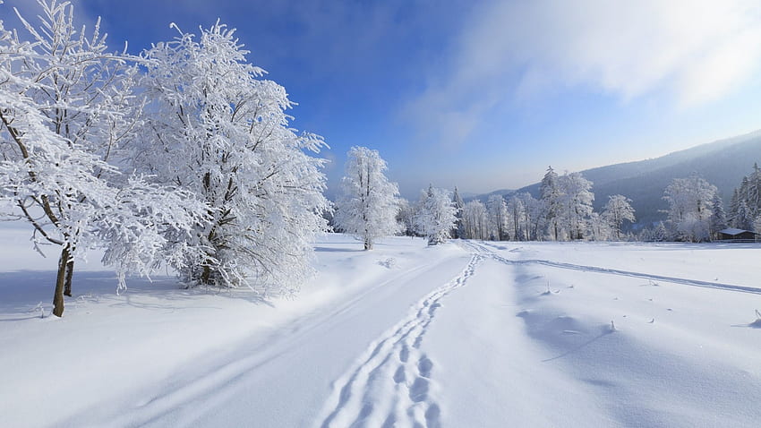 Landscape, Winter, Snow HD wallpaper