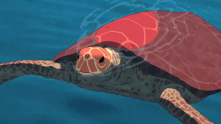 What Is 'The Red Turtle'? The Animated Film Is Now An Oscar Nominee HD wallpaper