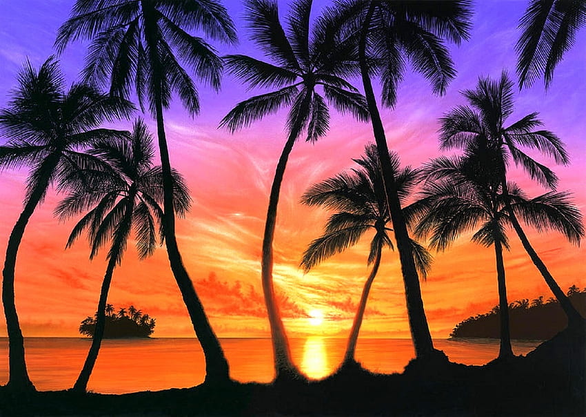 Palm Beach Sonnenuntergang, Meer, Ozeane, Sonnenuntergänge, Strände, Sehenswürdigkeiten in Träumen, Paradies, Sommer, Liebe vier Jahreszeiten, Natur, Palmen HD-Hintergrundbild