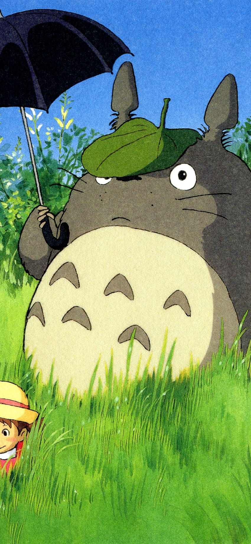 My Neighbor Totoro Classic Anime IPhone 11 Pro XS Max  Background HD  phone wallpaper  Pxfuel