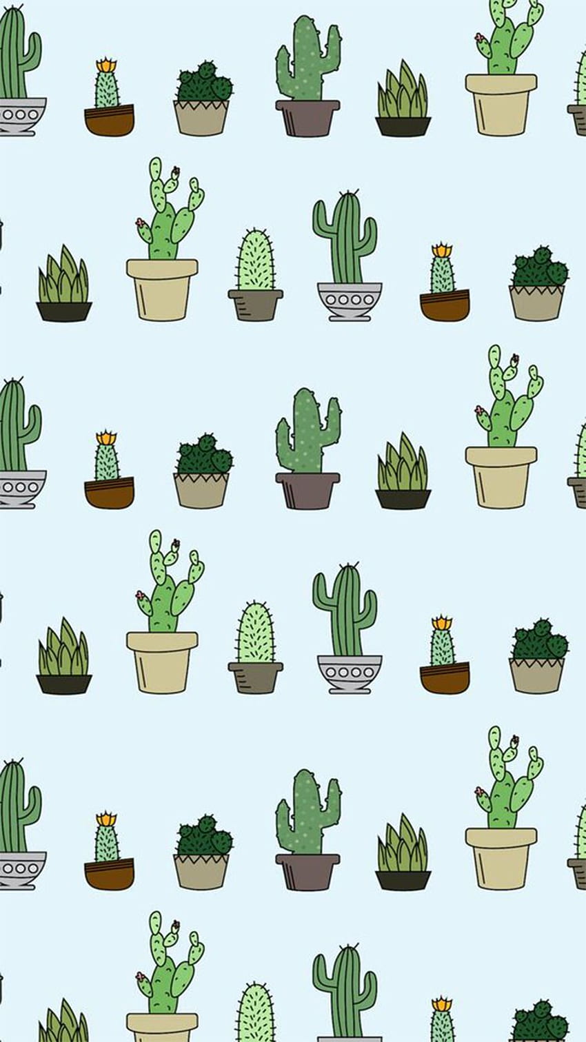 The Cute Cactus Wallpaper Background Wallpaper Image For Free Download   Pngtree