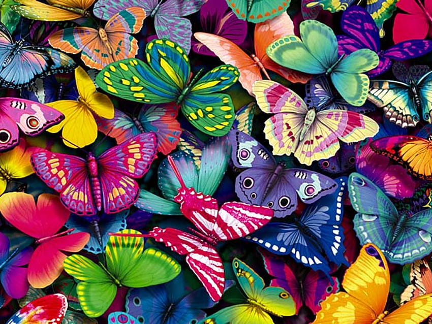 Beaucoup de papillons colorés - Animal . pour iPad et iPhone Wide. Fond papillon, Papillons colorés, Papillon Fond d'écran HD