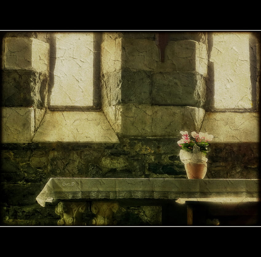 Cyclamen, still life, abstract, art, windows, altar, texture, church HD wallpaper