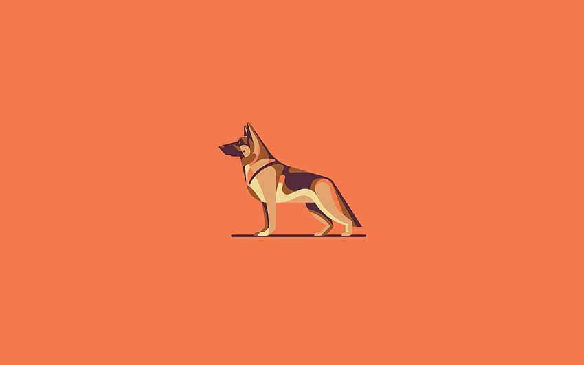 Gembala Jerman, minimal, latar belakang oranye, anjing kartun, hewan peliharaan dengan resolusi . Kualitas tinggi Wallpaper HD
