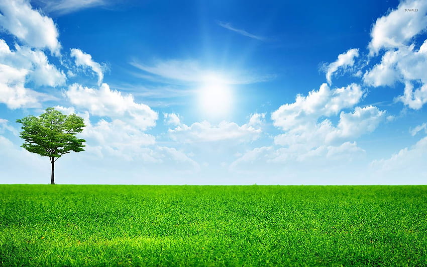 Синя небесна природа, невероятен слънчев пейзаж HD тапет