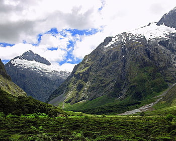 Mountain Blur Background Free Stock Photo  Download 