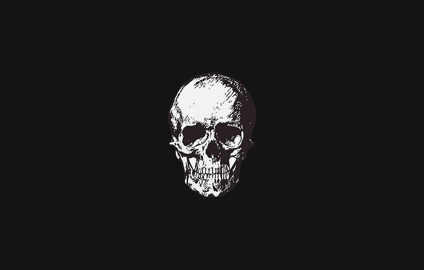 ง่าย หัวกะโหลก ความเรียบง่าย เหล้าสาเก พื้นหลังสีดำ ความเรียบง่าย Black background for минимализм Cool Minimalist Skeleton วอลล์เปเปอร์ HD