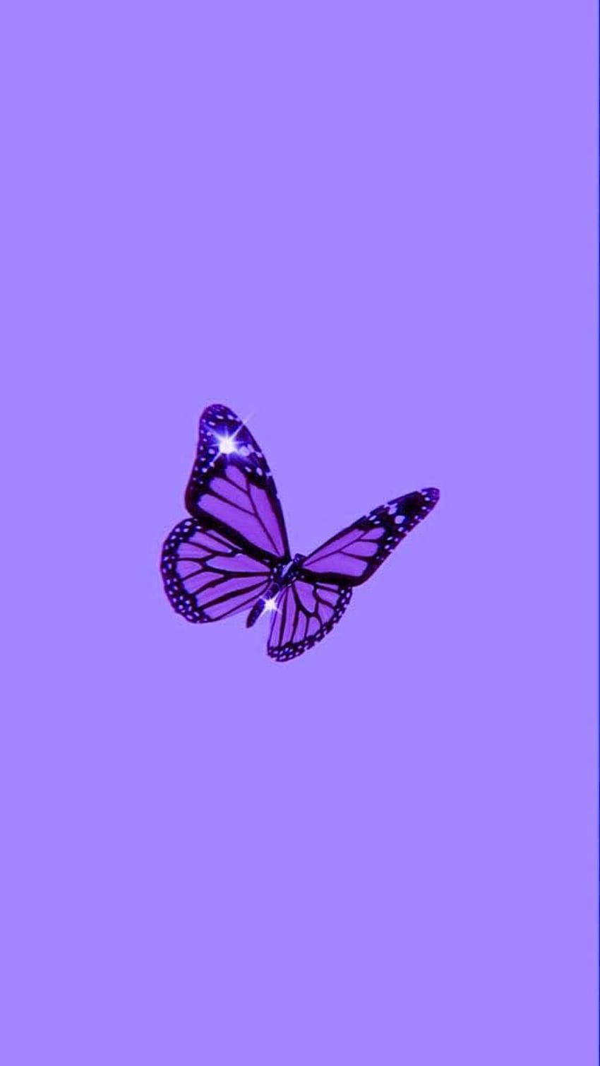 On iPhone background Purple butterfly  Purple phone Violet aesthetic HD  phone wallpaper  Pxfuel