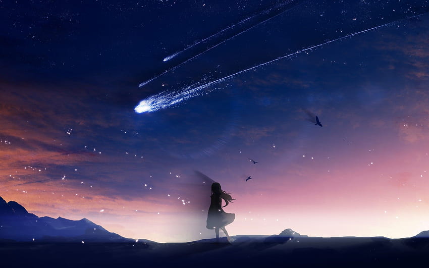 Anime Girl, Falling Stars, Scenic, Birds, Sky, Landscape for MacBook Pro 13  inch, Anime 2560x1600 HD wallpaper | Pxfuel