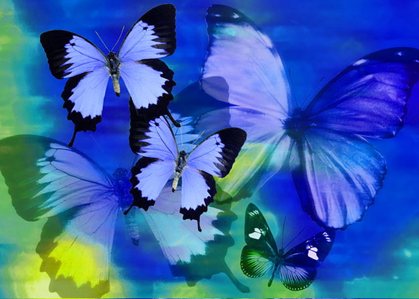 蝶のブルース、青、蝶、羽、抽象、緑 高画質の壁紙