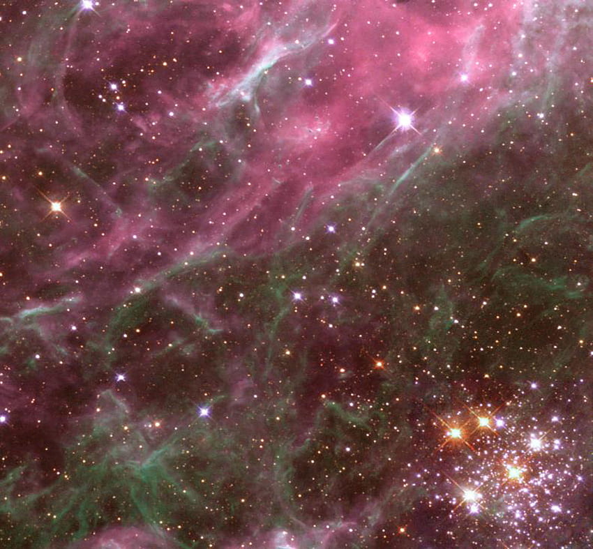 Nebulosa Tarantola, spazio, hubble Sfondo HD