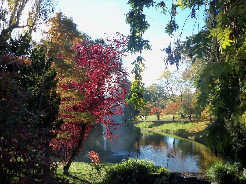 Sefton Park Liverpool Autumn Time, colores de árboles, agua, sykes azules, lago fondo de pantalla