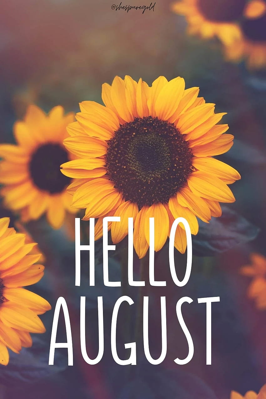 Halo Agustus - Dia Emas Murni wallpaper ponsel HD