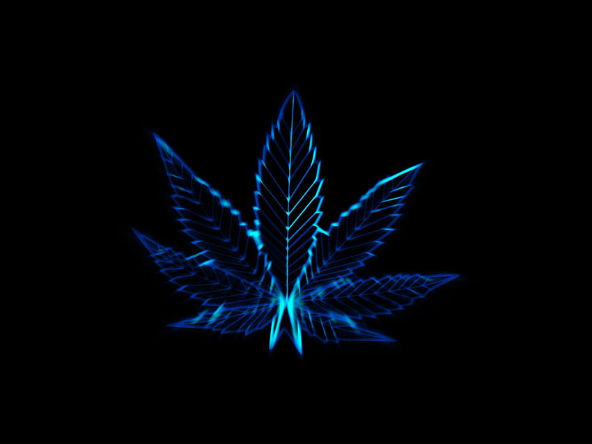 il vaso lascia lo delle droghe di marijuana, Maconha Sfondo HD