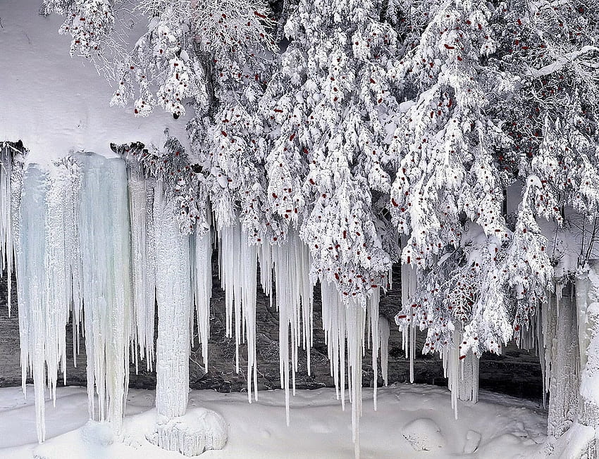 broderie d'hiver, hiver, stalactites, blanc, glace Fond d'écran HD