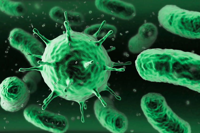 Illustrazione di batteri, microscopici, macro, miniature, germi Sfondo HD
