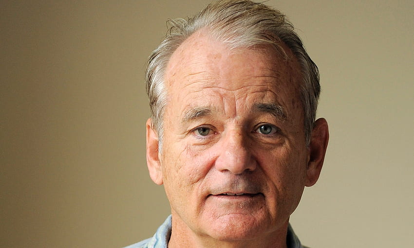 Bill Murray HD wallpaper