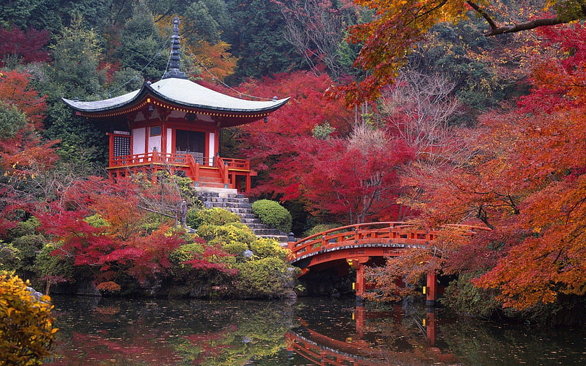 기타: 중국 일본 가을 오리엔테 레드 아름다운 일본 듀얼 스크린 HD 월페이퍼