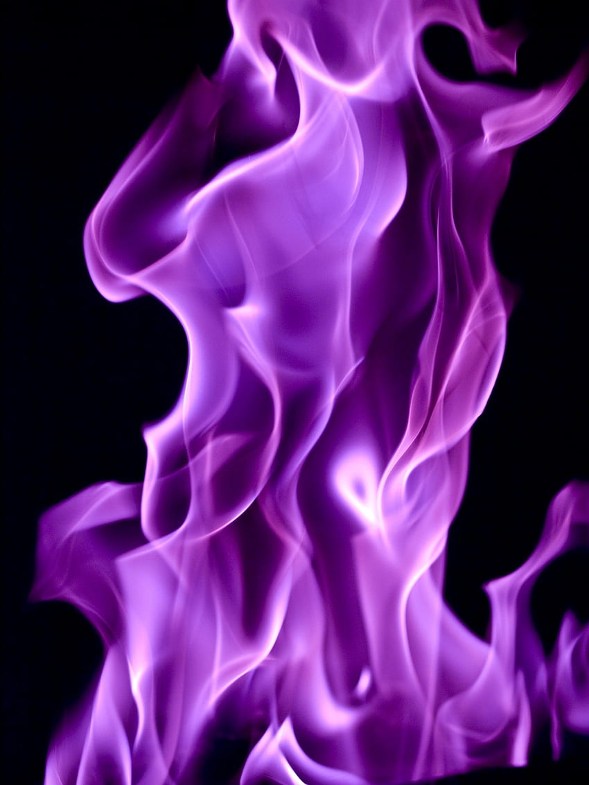 Purple Fire nature dark HD phone wallpaper  Peakpx