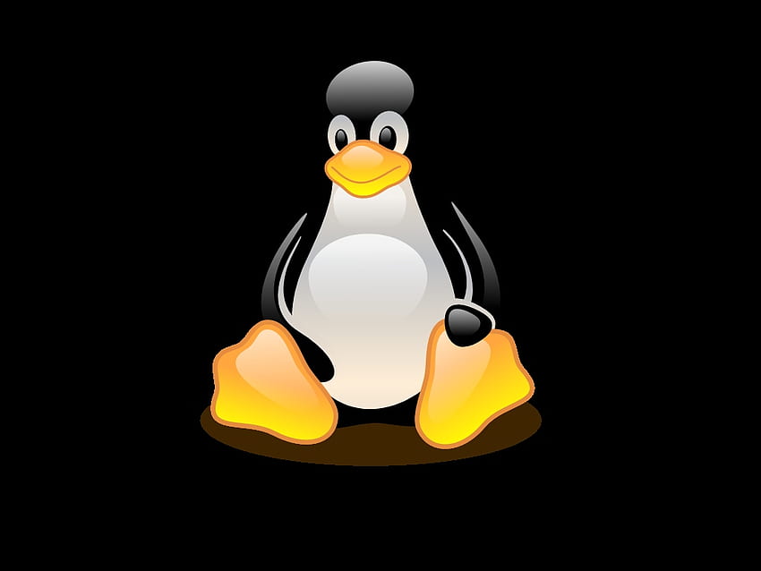 Pinguino di Tux, logo di Linux Sfondo HD