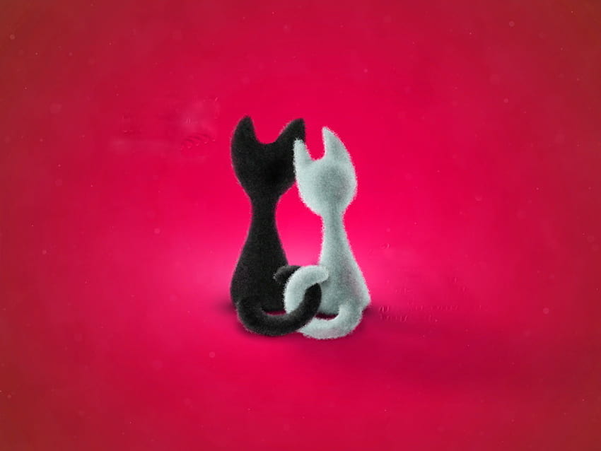 Für Joanne -Catwoman 8277, zwei, weiß, schwarz, Katzen, roter Hintergrund, Freunde HD-Hintergrundbild