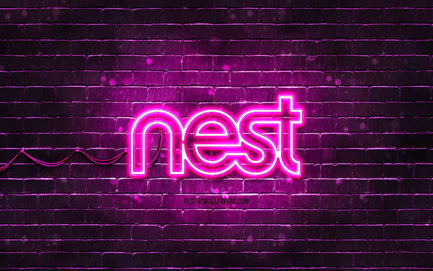 Logo violet Google Nest, mur de briques violet, logo Google Nest, marques, logo néon Google Nest, Google Nest Fond d'écran HD