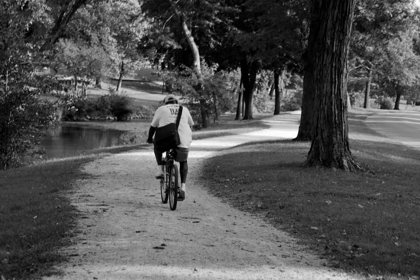 Reiten im Park eines Tages, Radfahren, Fahrrad, Vergnügungspark, Sommerpark, Park HD-Hintergrundbild