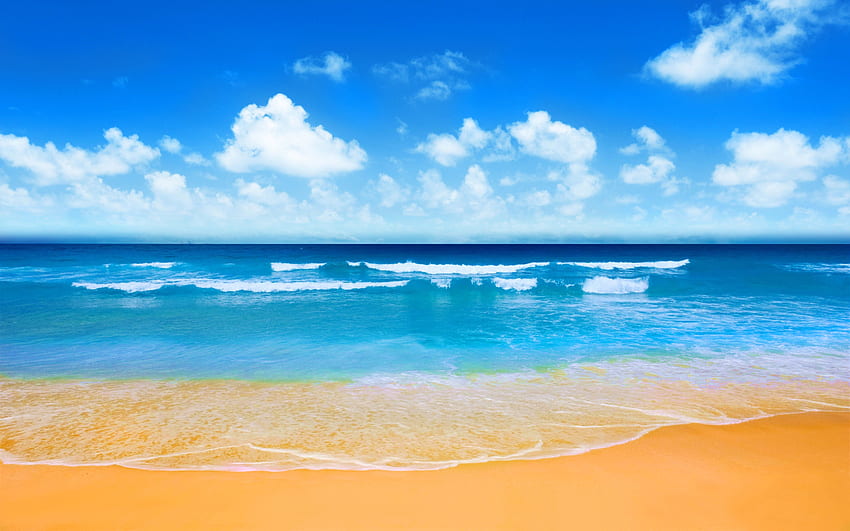 Bãi biển - Khung cảnh tuyệt đẹp của những bãi biển Việt Nam đang chờ đón bạn đến thăm. Hãy cùng lên đường và tận hưởng niềm vui khi nhìn thấy những đồi cát trắng, nước biển xanh ngắt và những con sóng đập dậy. 